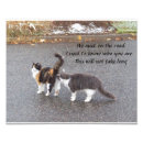 Search for cute and funny animal pictures posters For her