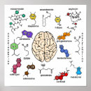 Search for molecule posters Biology