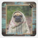 Search for dog photos stickers Modern