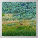 Search for sandhill art Nature