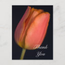 Search for tulip wedding postcards Flowers