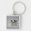 Search for penguins square key rings Full length