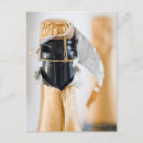 Search for selection postcards Bottle