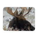 Search for ken magnets Superstock
