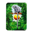 Search for lemur magnets Jungle