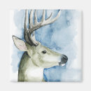 Search for stag magnets Deer