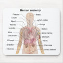 Search for human anatomy mousepads Heart