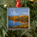Search for jackson hole christmas tree decorations Landscape