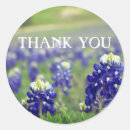 Search for texas wildflower stickers Floral