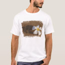 Search for plumeria tshirts Sand