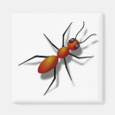 Search for ant magnets Funny