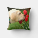 Search for labrador cushions Yellow lab
