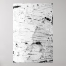 Search for birch bark posters Trunk