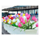 Search for arrangement flowers tulip posters Tulips