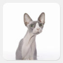 Search for no expression stickers Cute