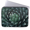 Search for agave cases Garden