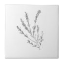 Search for herb tiles Illustration