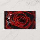 Search for red rose business cards Floral