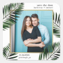 Search for date palm stickers Elegant