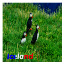 Search for puffin art Iceland