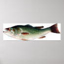 Search for largemouth posters Fish
