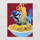 Search for bluejays postcards Wildlife