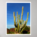 Search for fotos posters Photography
