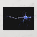 Search for neuron postcards Biology