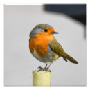 Search for fence post art Wildlife