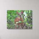 Search for bambi art Wildlife