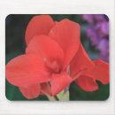 Search for amaryllis mousepads Garden