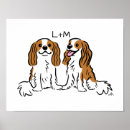 Search for spaniels posters Cavie
