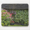 Search for thatch mousepads Village