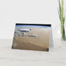 Search for dust cards Curve