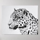 Search for leopard posters Animal lovers