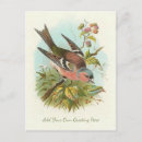 Search for owned postcards Birds