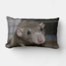 Search for rat cushions Cute
