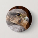 Search for prey badges Bird of prey