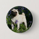 Search for mop badges Fawn