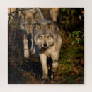 Search for wolves puzzles Nature