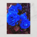 Search for rose blue postcards Botanical
