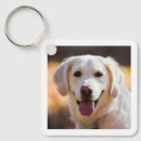 Search for dog owner key rings Create your own