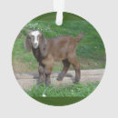 Search for baby goat christmas tree decorations Cute