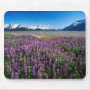 Search for refuge mousepads Alaska