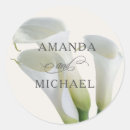 Search for calla Elegant