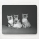 Search for siamese electronics Horizontal