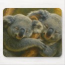 Search for cuddly mousepads Koalas