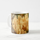 Search for fungi mugs Autumn