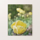 Search for tulip puzzles Flowers