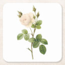 Search for plants barware Botany